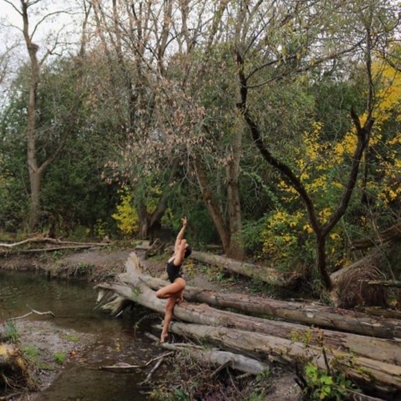 Meet your Posher, Taylor - Picture 1 of 1